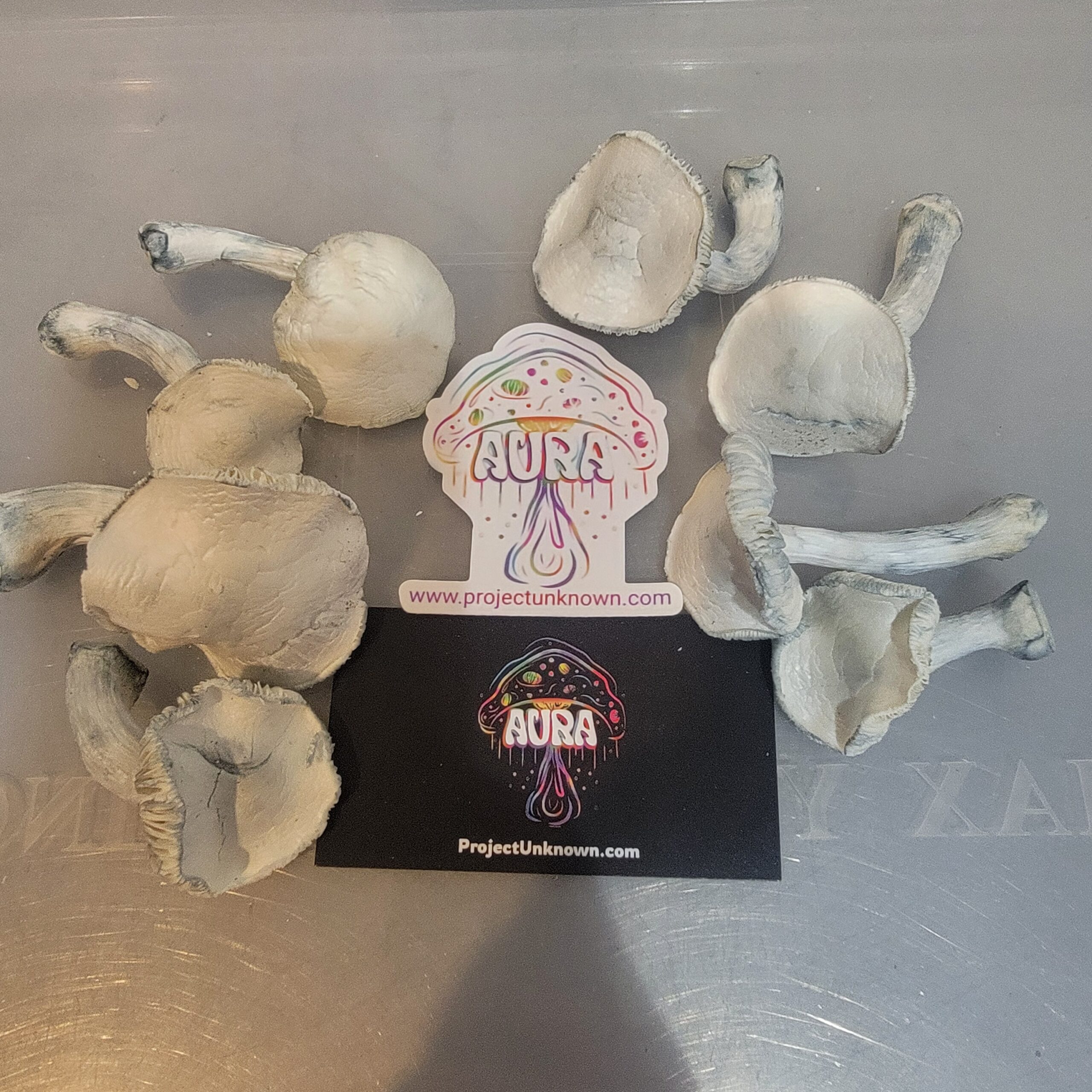 Jedi Mind Freeze Dried