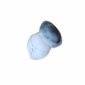 A.P.E. Freeze Dried