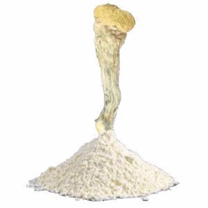 Powdered (Ground) Mushrooms