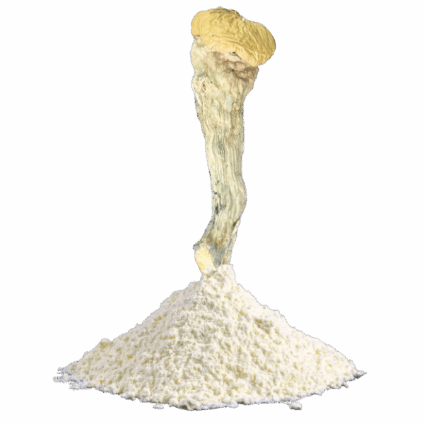 Powdered (Ground) Mushrooms