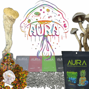 Aura Variety Bundle Box – Premium Mushroom Sampler