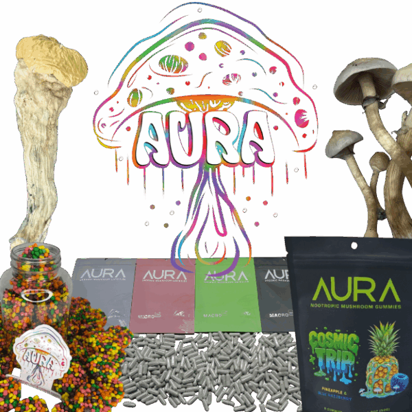Aura Variety Bundle Box – Premium Mushroom Sampler